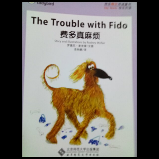 The Trouble with Fido