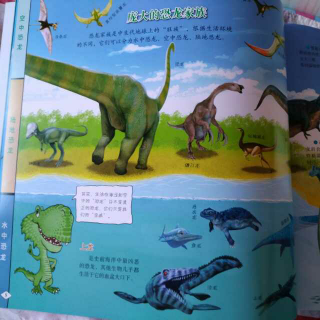 庞大的恐龙家族—04