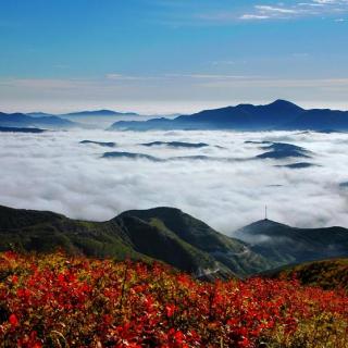 西部旅游~中国最年轻的山脉六盘山