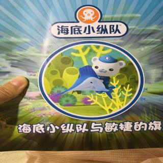 海底小纵队与敏捷的旗鱼