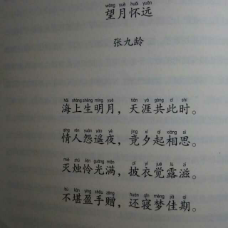 王芳 最好的方法读唐诗——《望月怀远》张九龄