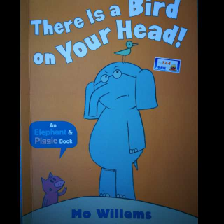 猪象8.bird on your head