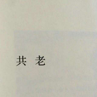 《十二》