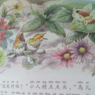 杨红樱童话:偷梦的影子（7）小鸟提前出世