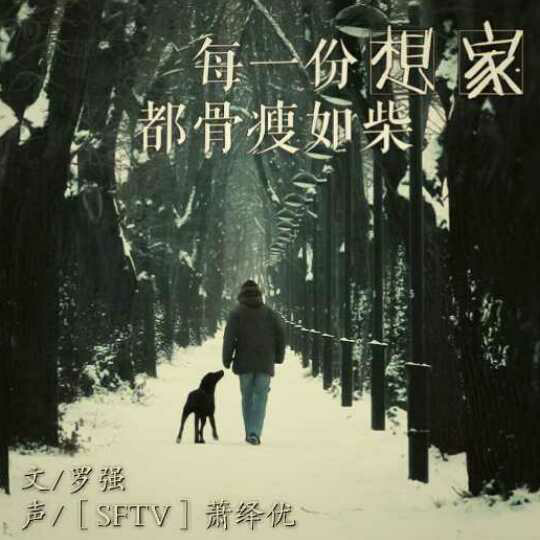 sftv〕每一份想家都骨瘦如柴