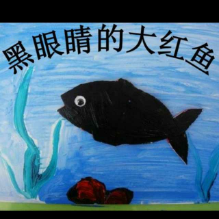 慧慧老师 ——🐠《黑眼睛大红鱼》