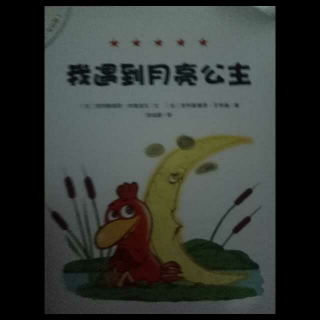 《我遇到月亮公主》