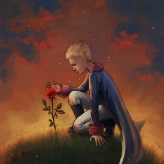 《小王子》4--和玫瑰的爱情