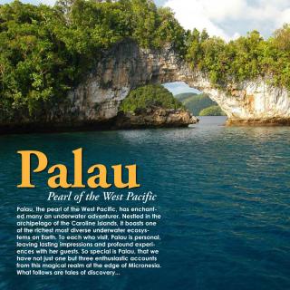6. Palau/帕勞--又是一片碧海藍天