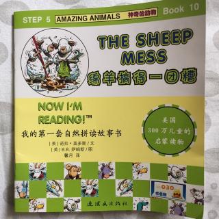 The Sheep Mess