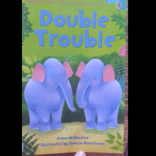 02-Double Trouble