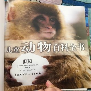 20170730~DK儿童动物大百科
