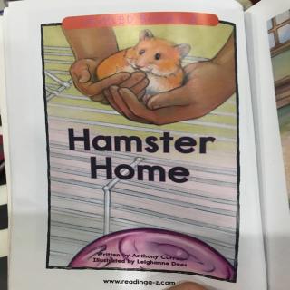 hamster home