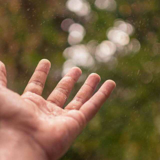 《我请求：雨》 海子