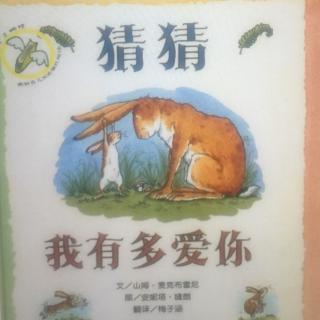 绘本故事——猜猜我有多爱你