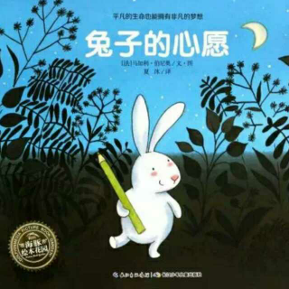 《兔子的心愿🐰》