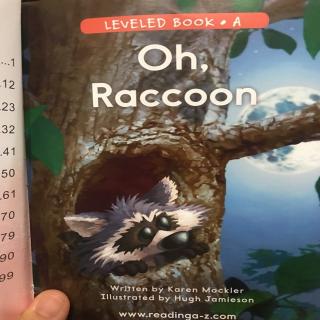 Oh,Raccoon