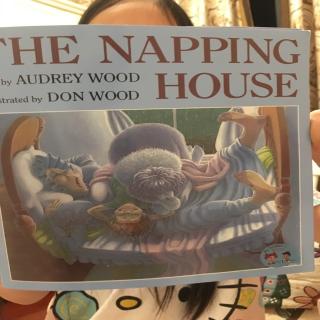 the napping house