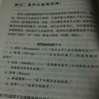 《正面管教》1.1当心！是什么在起作用！