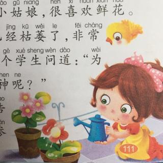 小意达的花儿