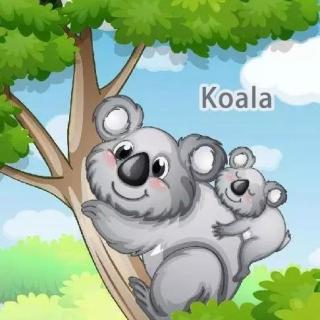 【英语故事】Koala
