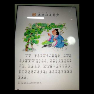 我要的是葫芦一纤纤读书0731