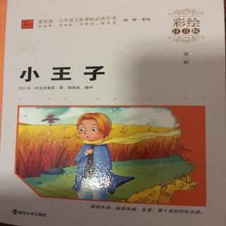 《小王子》第一章  第一幅作品