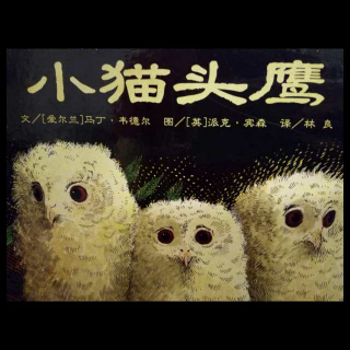 《小猫头鹰》208-【小蕾绘本故事】