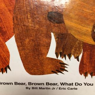 Brown bear,brown bear, what do you see?