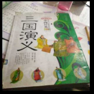 三国演义(十六十七集