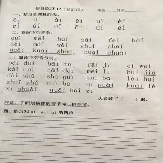 拼音练习12