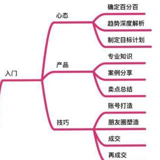 团队代理成长体系--入门