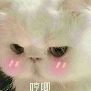 苏小喵🐱的直播