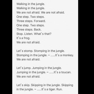 Walking in the jungle 20170726105610