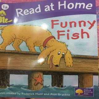 Funny Fish(Read at home)