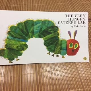 【乐乐读英文绘本】The very hungry caterpillar