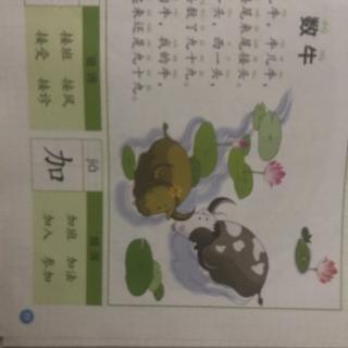 鸿哥《数牛》