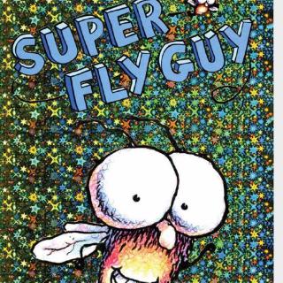 Super fly guy