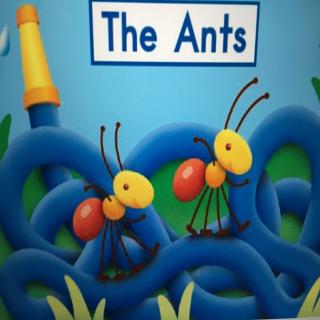 HeinemannG2《The Ants》