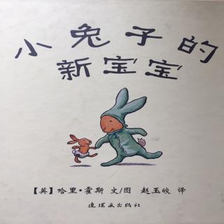 小兔子的新宝宝