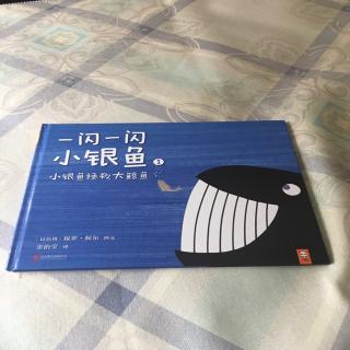 一闪一闪小银鱼