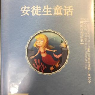 《笨小子汉斯》