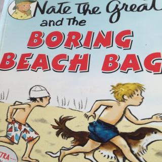 Nate the great and the boring beach bag-20170803