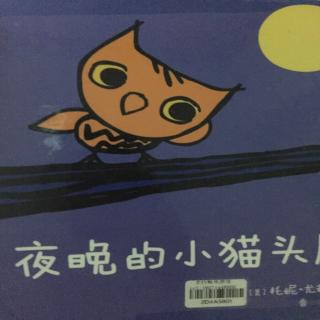 夜晚的猫头鹰