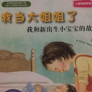 我当大姐姐了之八阵图