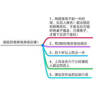 瓜瓜之声95期：疯狂的黄桃电商培训课