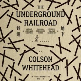 普利策获奖小说《地下铁道》: 一场对人性、自由与历史的拷问