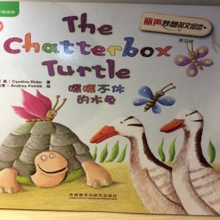 The Chatterbox Turtle