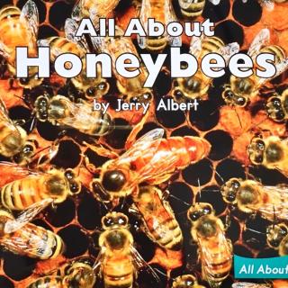 G1 book99 All about honey bees