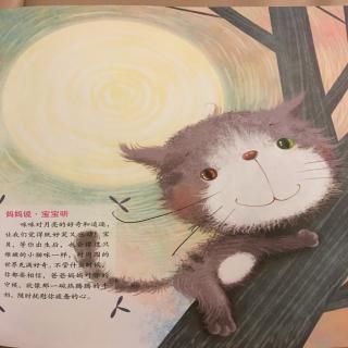 胎教故事 小猫咪追月亮